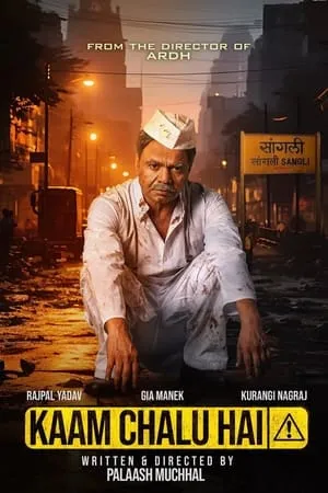 Dvdplay Kaam Chalu Hai 2024 Hindi Full Movie WEB-DL 480p 720p 1080p Download