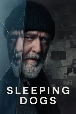 Dvdplay Sleeping Dogs 2024 English Full Movie WEB-DL 480p 720p 1080p Download